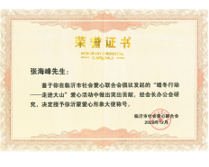 2020沂蒙爱心形象大使