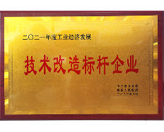 2021技术改造标杆企业
